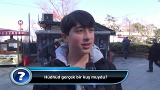 Hüdhüd gerçek bir kuş muydu?