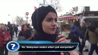 Hz. Süleyman neden atları çok seviyordu?