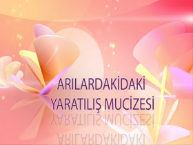 Arılardaki Yaratılış Mucizesi