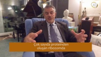 Dr. Fazale Rana: "Protein Sentezi: Tüm Tavuk Ve Yumurta Problemlerinin Ana Kraliçesi"