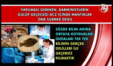 Darwinizm'e karşı acze düşüp yenilgiyi baştan kabul edenler 